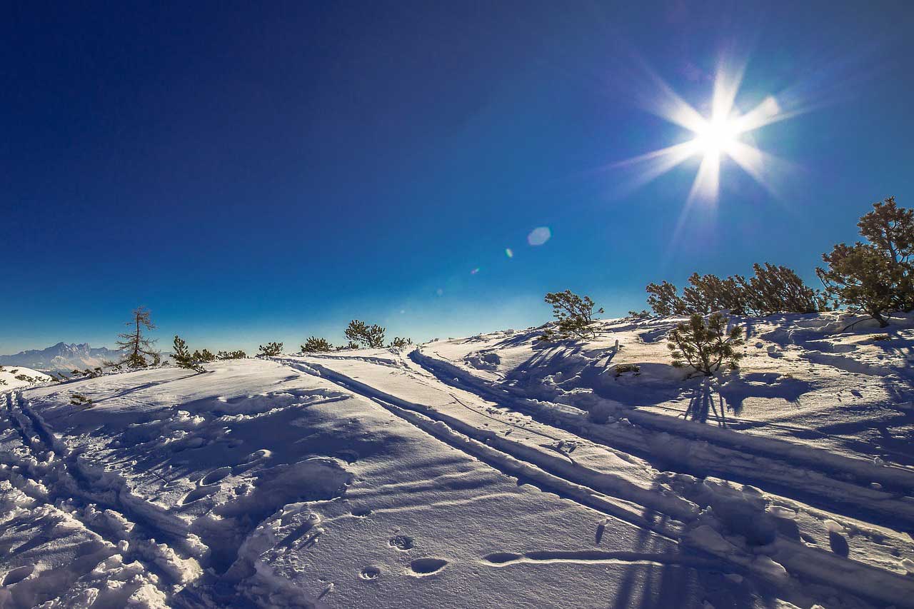 Winter landscape.